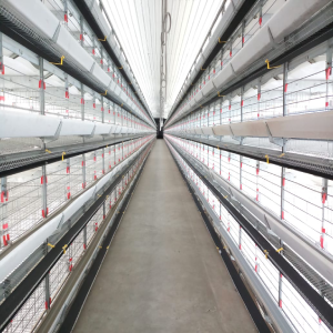 Modular H-Frame Cages