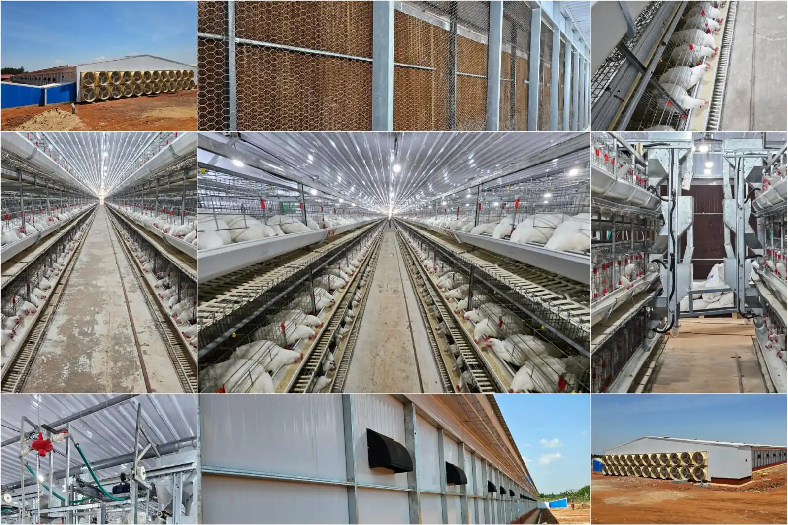 Broiler Farm Project in Uganda for 1 Lakh Birds completed in Record Time