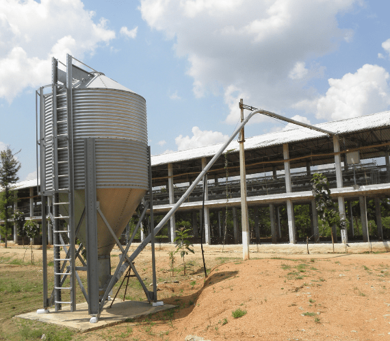 Chakra Poultry Feed storage SILO