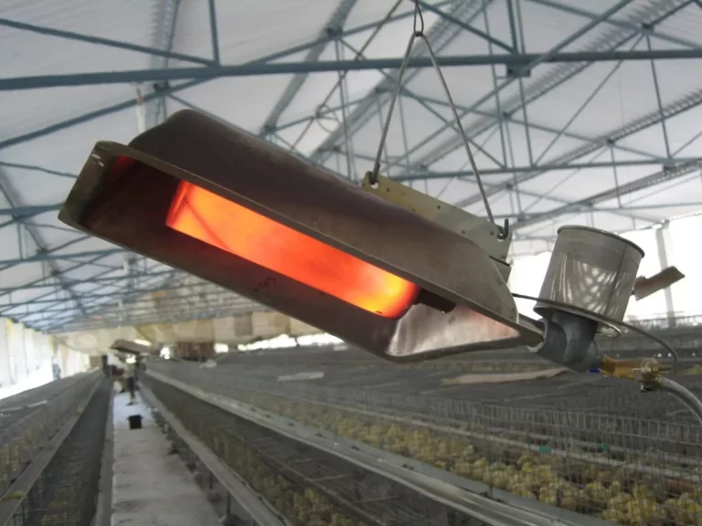 LPG Gas Brooders for Poultry Farm