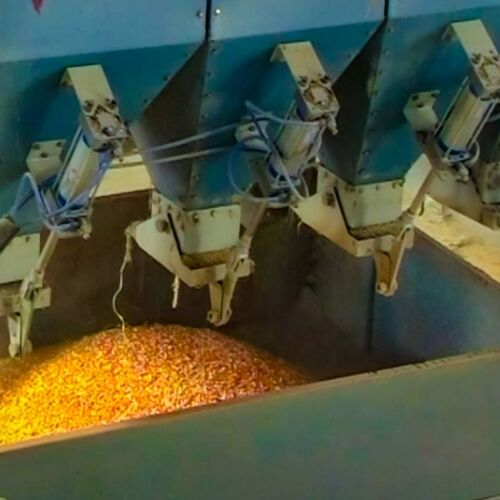 Chakra Poultry Feed Batching System - Poultry Feed Equipments